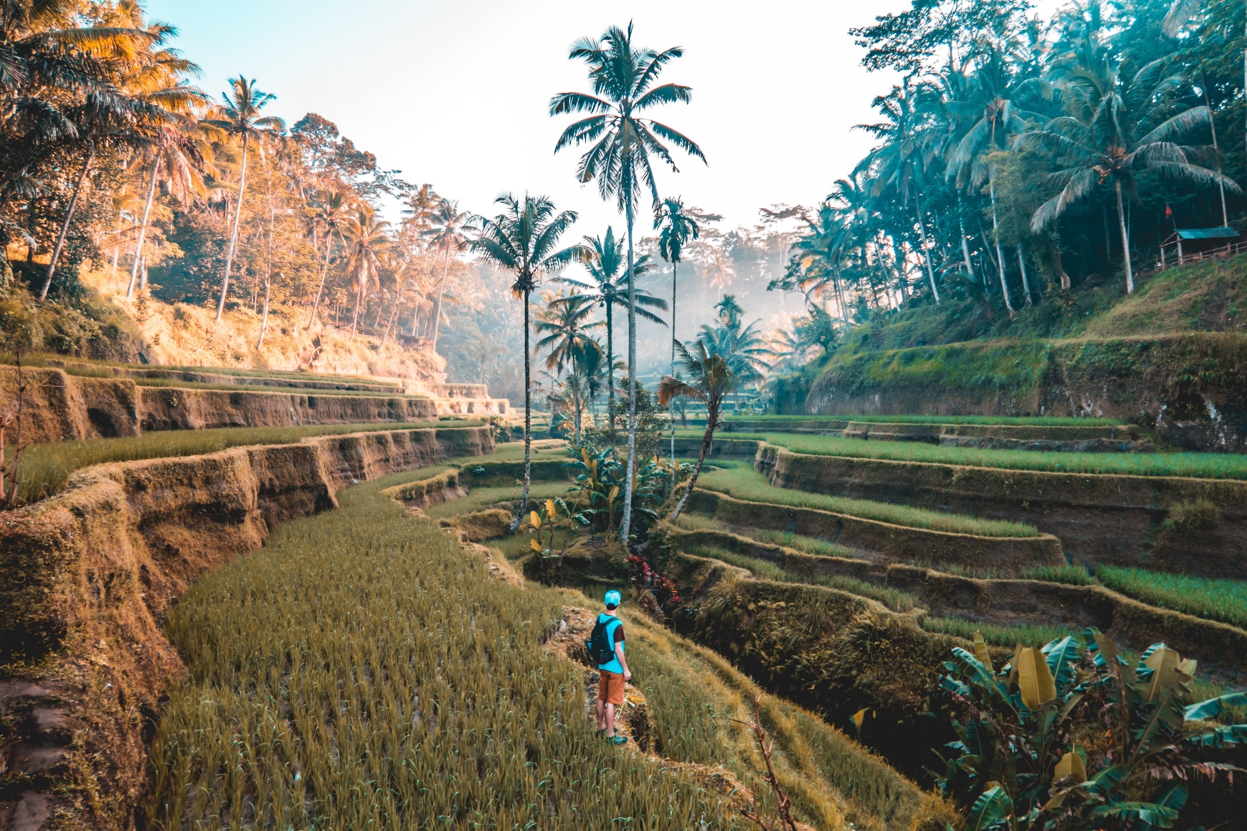 visainbali scaled
